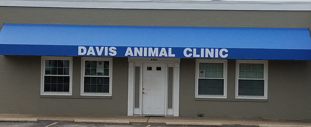 Davis Animal Clinic image